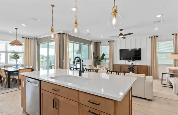 10227 PARKVIEW RESERVE LANE, Orlando, FL 32836