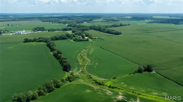 XXX Elevator Road, Walshville, IL 62091