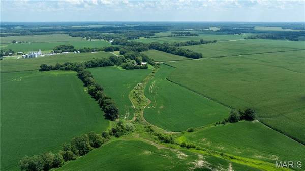 XXX Elevator Road, Walshville, IL 62091