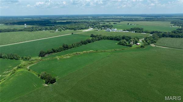 XXX Elevator Road, Walshville, IL 62091
