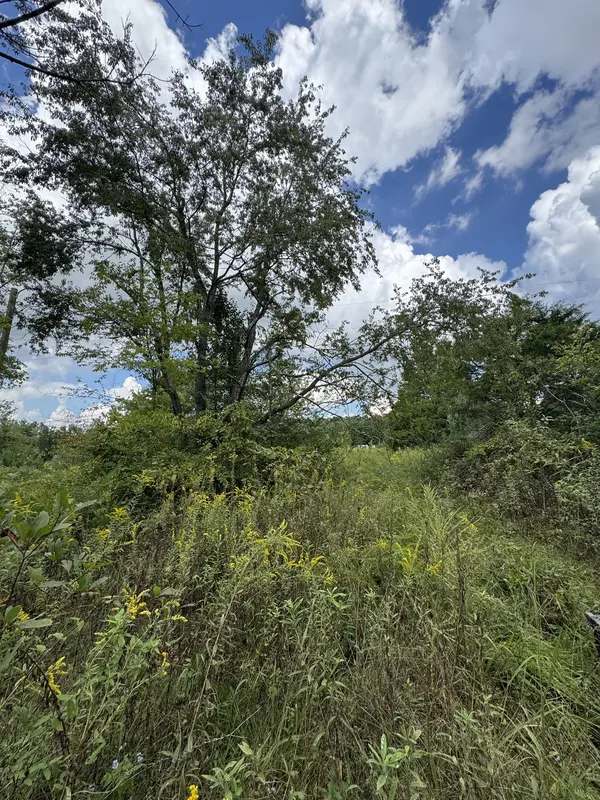 230 Running Meadows Rd, Portland, TN 37148