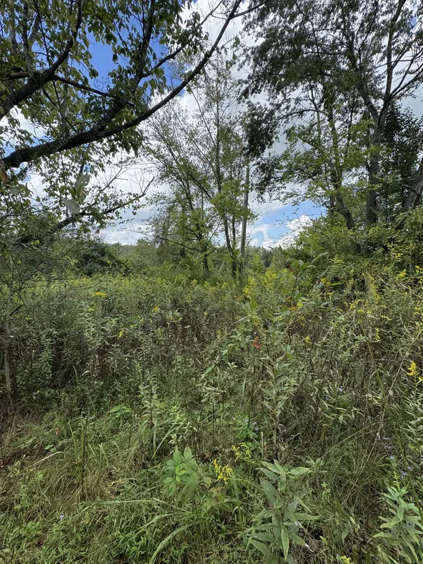 230 Running Meadows Rd, Portland, TN 37148