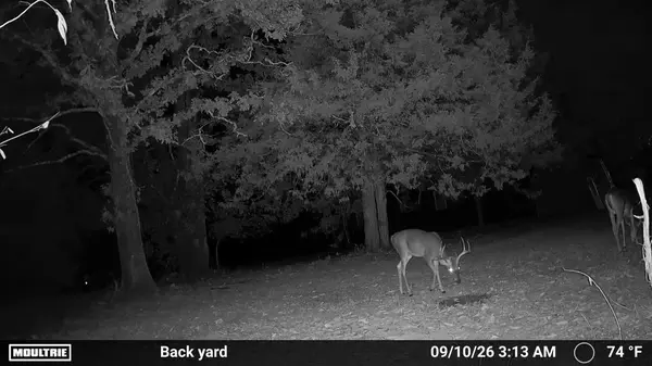 0000 County Road Jj-416, Ava, MO 65608