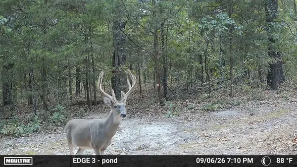 0000 County Road Jj-416, Ava, MO 65608