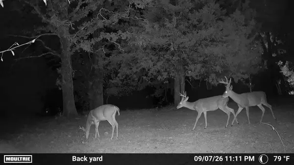 0000 County Road Jj-416, Ava, MO 65608