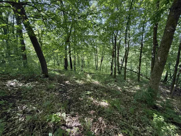 265th AVE, Spillville, IA 52168