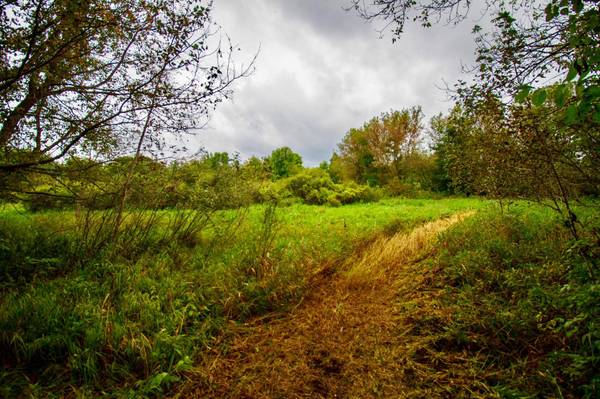 TBD 480th/Cty Rd 3 ST, Palisade, MN 56469