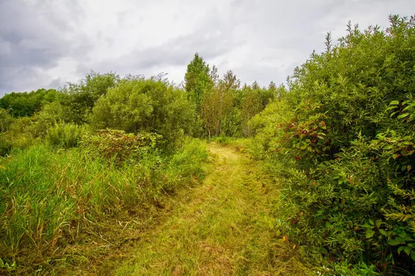 TBD 480th/Cty Rd 3 ST, Palisade, MN 56469