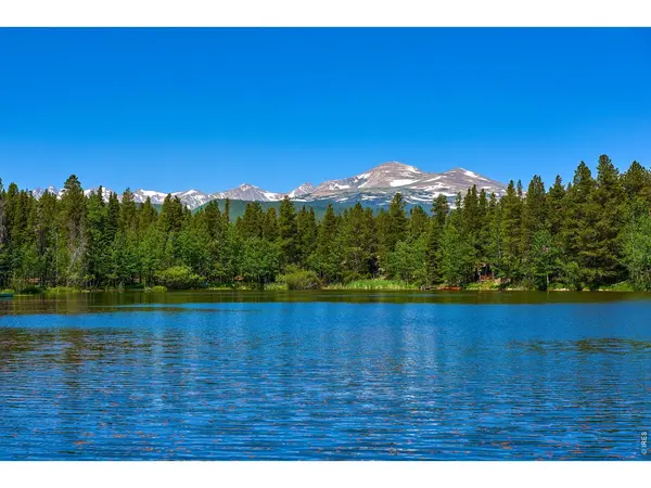 563 Pine Cone, Ward, CO 80481