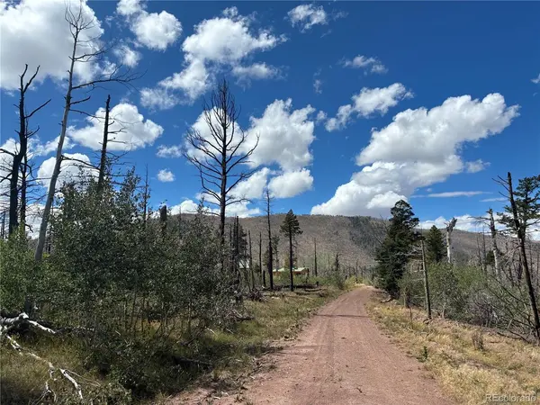 2257 Port, Fort Garland, CO 81133