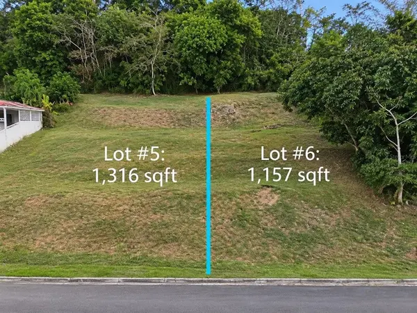 Road 115 kM 15.6 RIO GRANDE WARD, Rincon, PR 00677