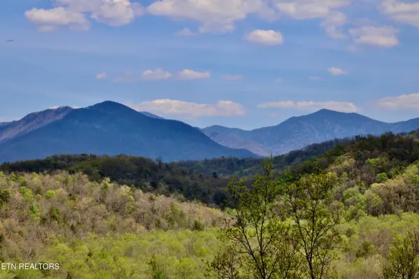 224 Woodland Rd #103, Gatlinburg, TN 37738