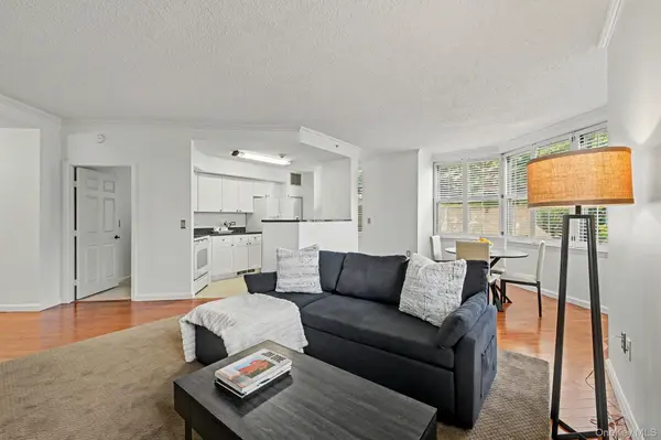 300 Mamaroneck AVE #303, White Plains, NY 10605