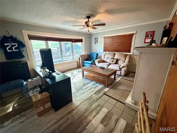 311 W Richardson AVE, Puxico, MO 63960