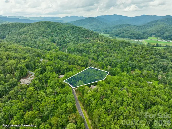 230 Shining Rock PATH #64, Horse Shoe, NC 28742