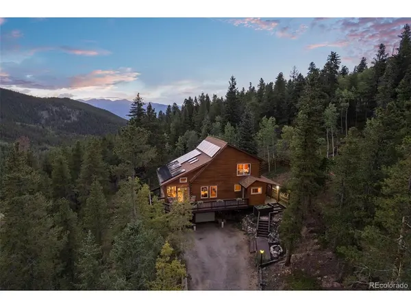 54 Old Little Bear Creek, Idaho Springs, CO 80452