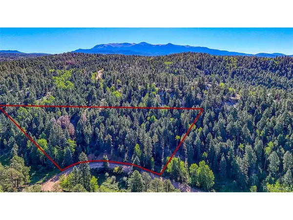 776 Spring Valley, Florissant, CO 80816