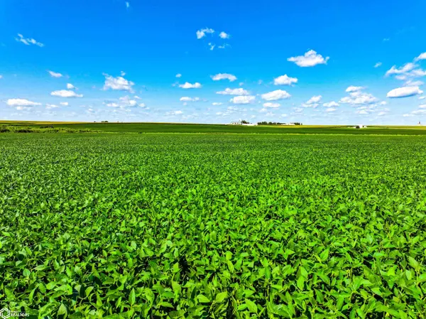 P AVE, Maynard, IA 50655