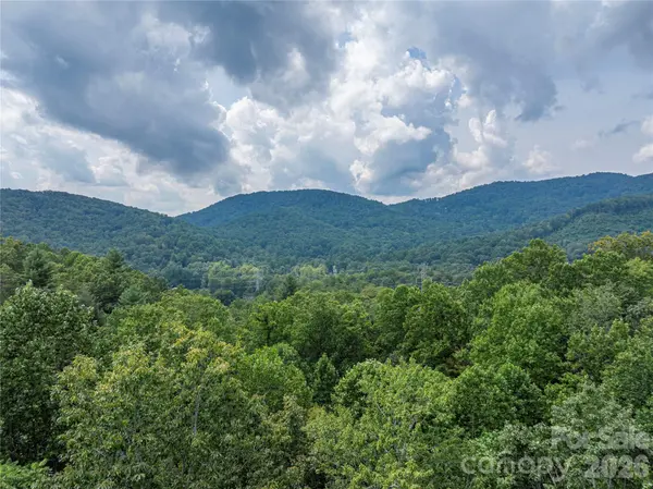 116 Ivy RD, Mills River, NC 28759