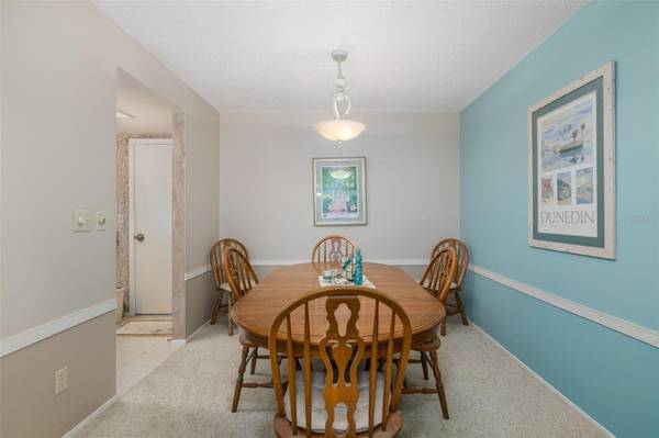 1428 SUMMER ISLE CT, Dunedin, FL, 34698 photo 10