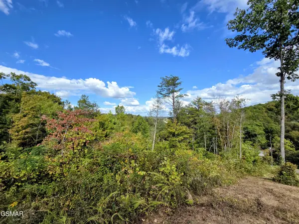 220 Pheasant Court, Sevierville, TN 37876