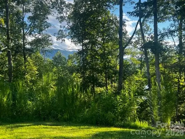 23 Mountain Pkwy, Mill Spring, NC 28756