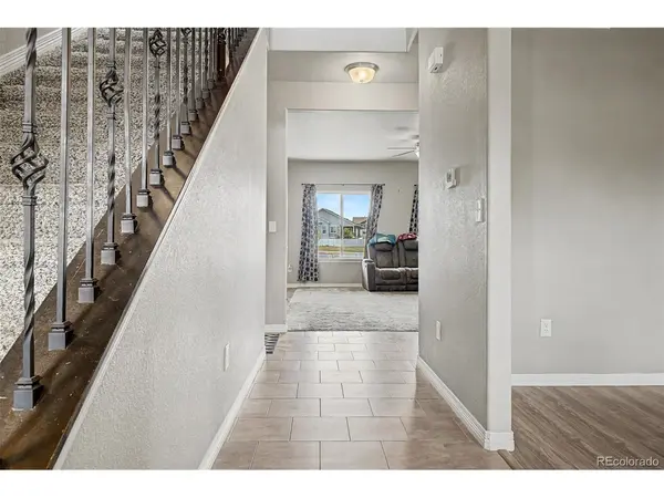 4689 Waltham, Windsor, CO 80550