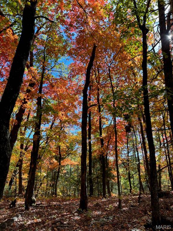 7919 County Road 4055, Unincorporated, MO 65069