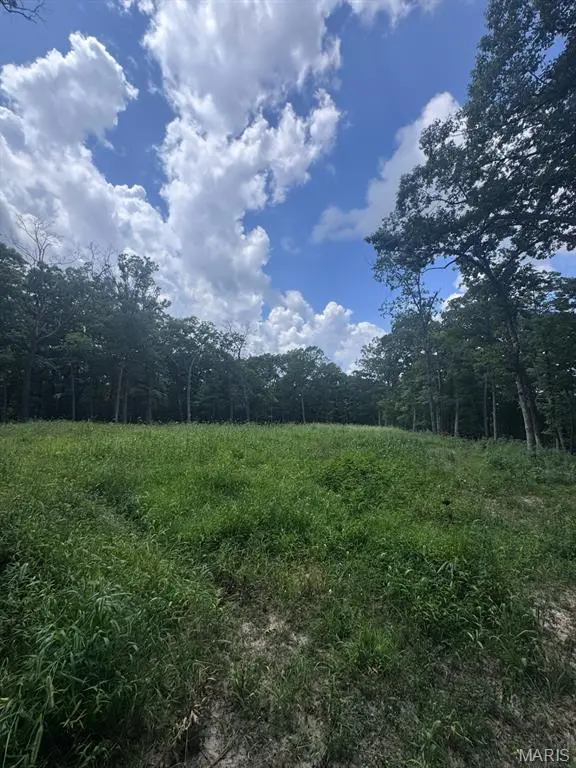 7919 County Road 4055, Unincorporated, MO 65069