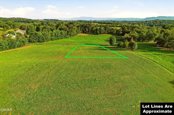 5 McCleary Lane Road, Sevierville, TN 37876