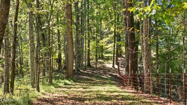 259 Little Tater Valley Rd, Luttrell, TN 37779