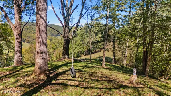 259 Little Tater Valley Rd, Luttrell, TN 37779