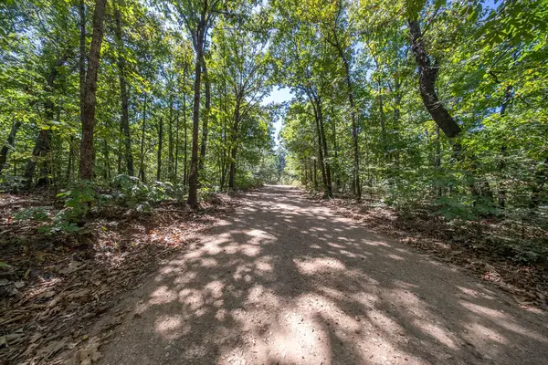 000 Valley View TRL, Williford, AR 72482