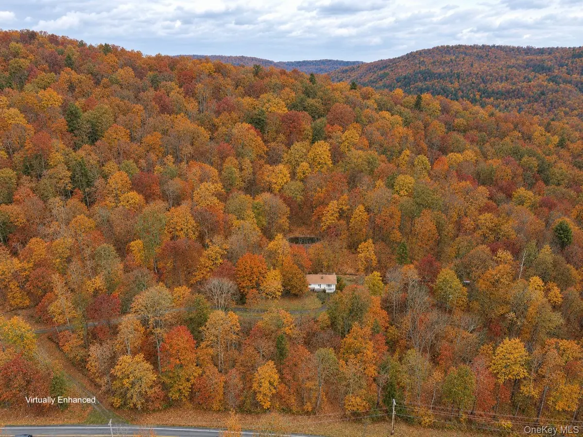 2220 Old Route 17, Roscoe, NY 12776
