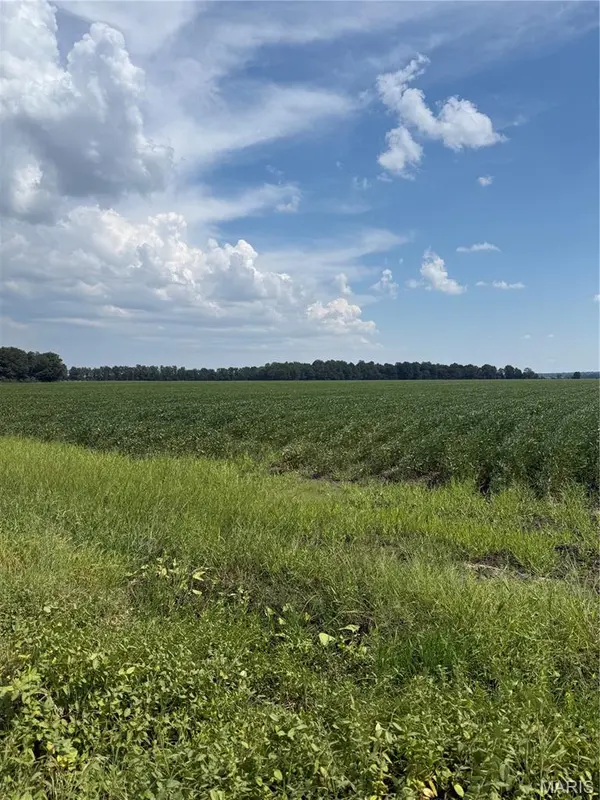 0 County Road 108-A,  Campbell,  MO 63933