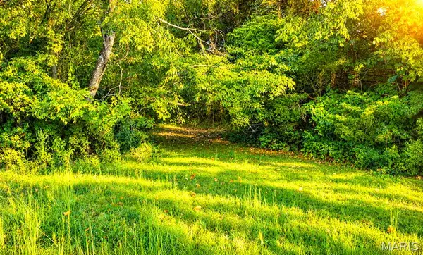 000 Willow Creek Road Lot 2, Union, MO 63084