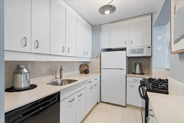 1150 N Lake Shore DR #8K, Chicago, IL 60611