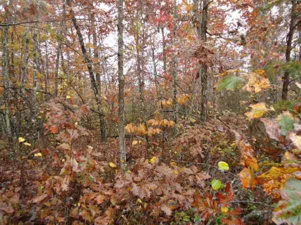 0 Whitson Hollow Rd, Red Boiling Springs, TN 37150
