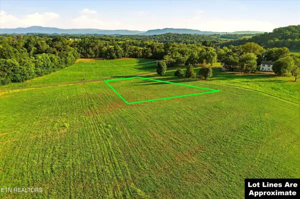 5 McCleary Bend Rd, Sevierville, TN 37876