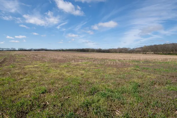 0 South Cross Bridges Road, Mount Pleasant, TN 38474
