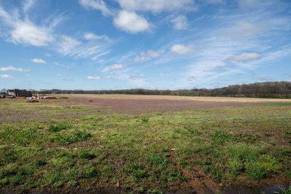 0 South Cross Bridges Road, Mount Pleasant, TN 38474
