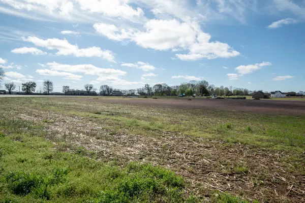 0 South Cross Bridges Road, Mount Pleasant, TN 38474