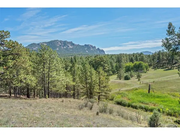 21555 Spring Creek, Buffalo Creek, CO 80425