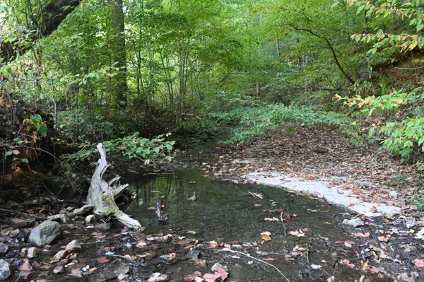 1826 Swindle Creek Rd, Linden, TN 37096