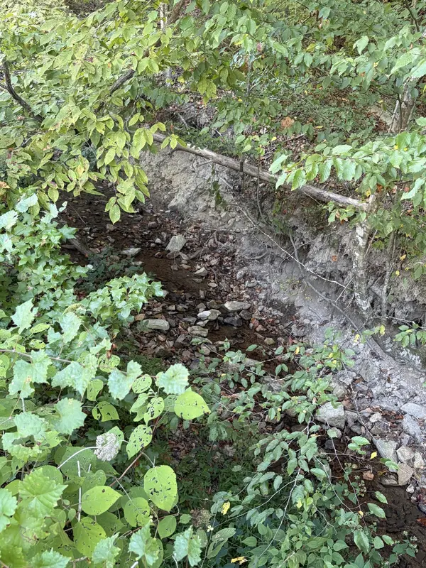 1928 Swindle Creek Rd, Linden, TN 37096