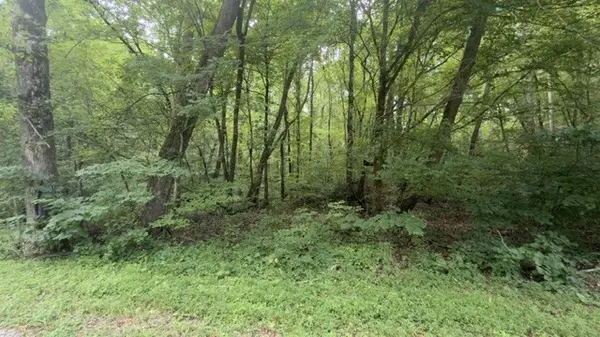0 Brush Creek Rd, Lawrenceburg, TN 38464