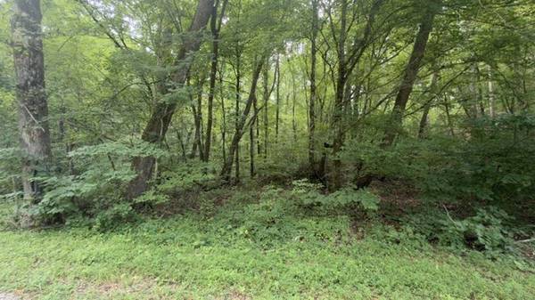 0 Brush Creek Rd, Lawrenceburg, TN 38464
