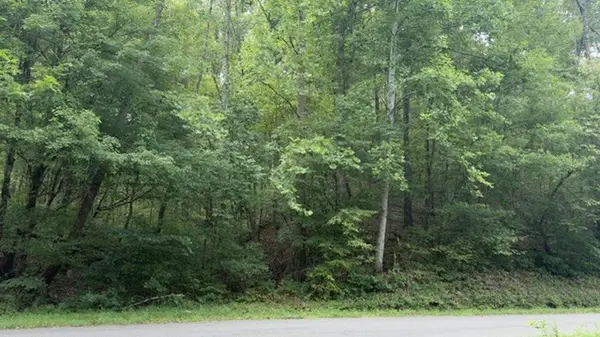 0 Brush Creek Rd, Lawrenceburg, TN 38464