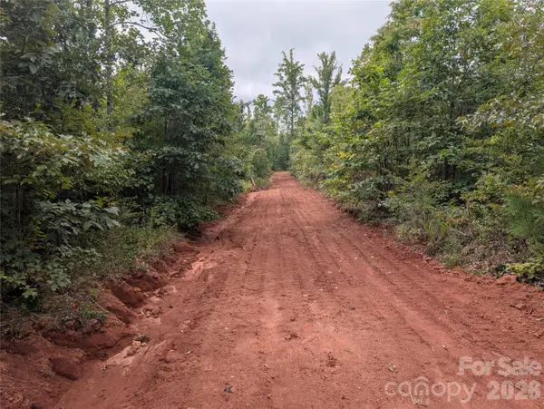 00 Pea Ridge RD, Mill Spring, NC 28756