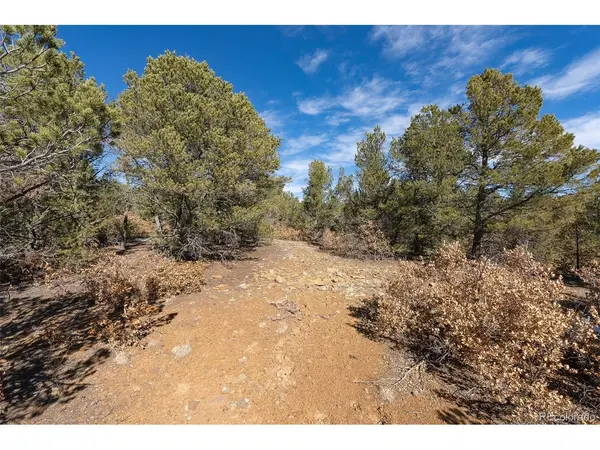 29870 County Rd 16, Trinidad, CO 81082